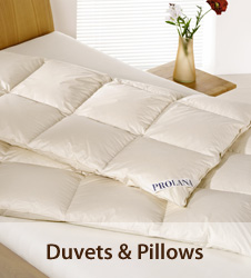 Duvets & Pillows