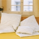 Organic Merino LambsWool Pillows