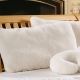 Organic Merino LambsWool Pillows