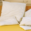 Goose Feather and Down Pillows