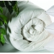 Summer Luxury Duvets ~ 4,5 tog ~ Goose Down ~ From Surrey Down