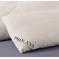 Organic Merino LambsWool Pillows - Jersey Covers